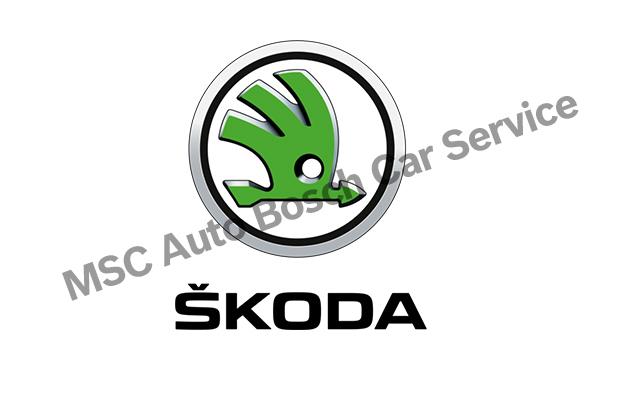 Beykoz Skoda Servisi